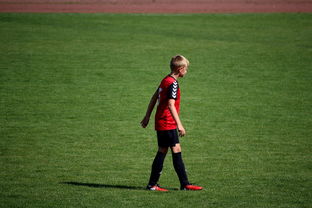 开云官网APP下载-中国足球俱乐部青训营技术指导持续加强，中国足球青训机构